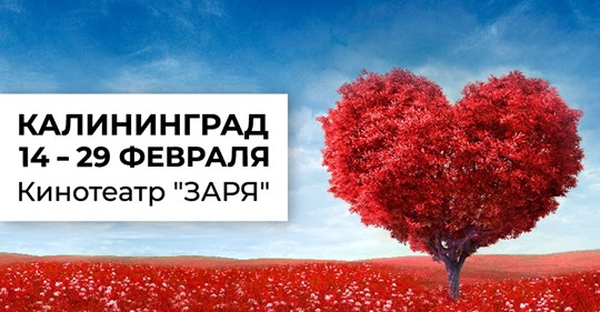 Болгарское кино покажут в Калининграде